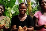 76.700 de cultivatori de cacao au fost implicati in campania Cocoa Life!