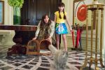Filmul "NINE LIVES" va avea premiera in Romania pe 26 august!