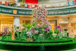 Un mall din Bucuresti si-a surprins vizitatorii cu o instalatie inedita din flori !