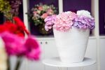 Un flower-boutique cu arta proaspata s-a dechis pe Calea Mosilor 209!