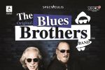 The Original Blues Brothers Band, mesaj video transmis fanilor din Romania