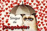 5 motive pentru care eşti singur de Dragobete. Sfaturile psihologului
