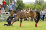 Poneii si caii au fascinat publicul la prima ediție a Karpatia Pony Show!