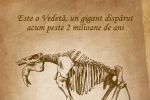 Vino la Antipasă-l vezi pe uriașulDeinotherium!