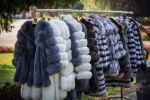 7 IDEI pentru a &icirc;ntreține corect haina de blană!