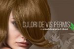 LONCOLOR lansează gama de vopsea permanentă LONCOLOR EXPERT HEMPStyle și serviciul de livrare la domiciliu