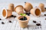 Au apărut capsulele de cafea biodegradabile. Ultima inovație &icirc;n domeniul  cafelei, acum și &icirc;n Rom&acirc;nia