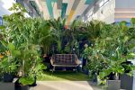 #EXTRANATURA instagramabilă &icirc;n Sun Plaza, pentru cele mai reușite selfie-uri