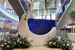 Călătorie EXTRAterestră &icirc;n Universul Florilor