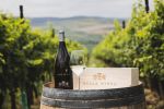 O cramă din Rom&acirc;nia a c&acirc;știgat patru medalii de aur și două de argint la IWCB Vinarium 2022