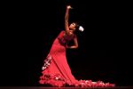 Dansul flamenco şi opera din Beijing, incluse &icirc;n patrimoniul imaterial UNESCO.
