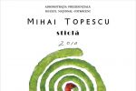 Mihai Ţopescu  - sticlă.