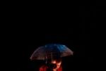 Ce spectacole puteţi vedea la Teatrul Naţional de Operetă &icirc;ntre 10 şi 14 februarie.