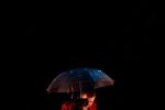 Ce spectacole puteţi vedea &icirc;ntre 24 şi 27 februarie la Teatrul Naţional de Operetă.