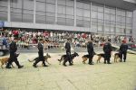 PetExpo, cel mai mare t&acirc;rg dedicat animalelor, la Zone Arena.