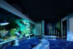 Vezi cum va arăta noul Muzeu Antipa.