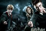 Fanii Harry Potter se pregătesc pentru sf&acirc;rşitul seriei. Romanialibera. ...