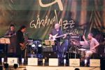 Cincisprezece ani de Găr&acirc;na Jazz Festival.