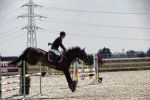Concurs de echitaţie, &icirc;n amintirea unui mare campion.