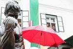 FOTO. Arnold Schwarzenegger are muzeu &icirc;n Austria.