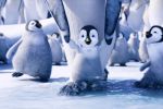 Brad Pitt c&acirc;ntă hitul trupei O-Zone.