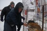 Nadine a dat la lopata pentru cainii comunitari