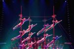 OSCAR 2012: Show Cirque du Soleil şi păpuşile Muppets printre prezentatori.
