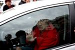 Mircea Badea a rămas fără permis, după ce a fost prins conduc&acirc;nd cu 162 de kilometri pe oră.