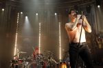 Peste 300 de jandarmi vor asigura ordinea publică la concertul Red Hot Chili Peppers.