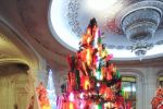 Festivalul Brazilor de Craciun duce mii de copii la scoala