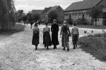 De la Mozart la film experimental. Cultura austriacă &icirc;şi continuă ascensiunea..
