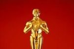 Data pentru votul nominalizărilor la Oscar 2013 a fost prelungită de către Academia ...