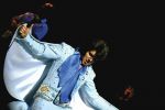A Vision of ELVIS recreeaza fidel un show al regelui rock&rsquo;n&rsquo;rollului pe 8 februarie la Hard Rock Cafe