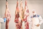 Bomba &bdquo;carne de cal din Rom&acirc;nia&ldquo;, dezamorsată.