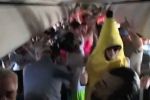 VIDEO. INCREDIBIL: Harlem Shake nebunesc &icirc;n avion.