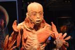 Cadavrele reale de la Antipa, 50 de lei de fascinaţie şi dezamăgire. GALERIE FOTO.