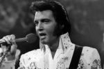 Celebrii pantofi albaştri ai lui Elvis Presley, v&acirc;nduţi la licitaţie.