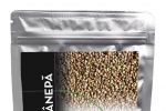 Canepa &ndash; cea mai bogata sursa de proteina