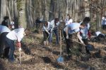 "Imi place sa plantez arbori"- deviza Yves Rocher pentru primavara lui 2014