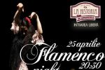 FLAMENCO NIGHT LA HISTORIA