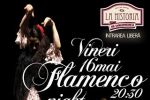 Flamenco La Historia cu Tiberiu Gogoanta si Pilar Diaz Romero