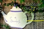Sanatate de(-o) vara