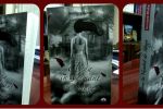 Recenzie! "Anna in vesmant de sange" de Kendare Blake