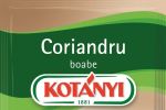 Noutati in materie de condimente: aromele toamnei!
