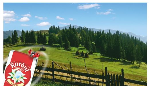 Albalact lanseaza Raraul floarea laptelui din Bucovina