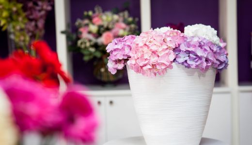 Un flower-boutique cu arta proaspata s-a dechis pe Calea Mosilor 209!