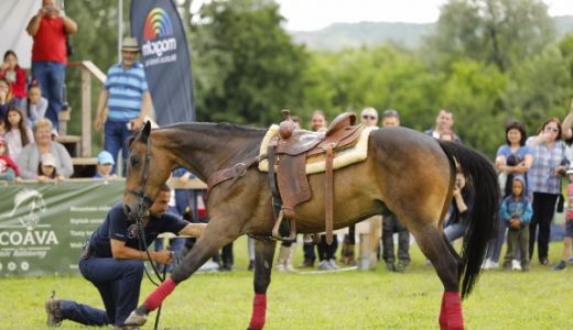 Poneii si caii au fascinat publicul la prima ediție a Karpatia Pony Show!
