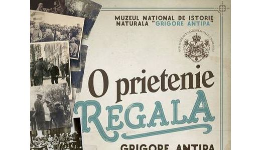 Muzeul Național de Istorie Naturală „Grigore Antipa” și agenția de publicitate Armada vorbesc despre o prietenie cum nu s-a mai văzut