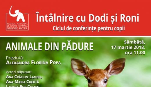 Sambata, Muzeul Antipa, va invita la o lectie despre Animalele din pădure