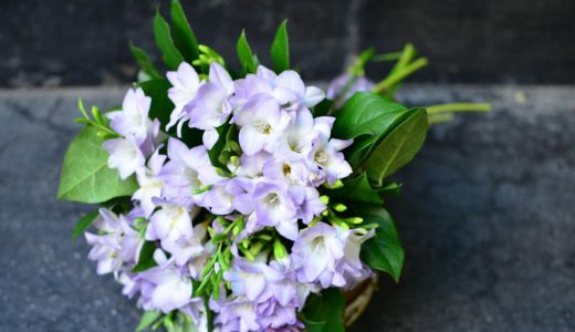 20% dintre romance primesc flori (aproape) in fiecare luna